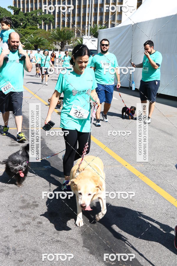 Buy your photos of the event2 Pet Run Shopping Eldorado  on Fotop