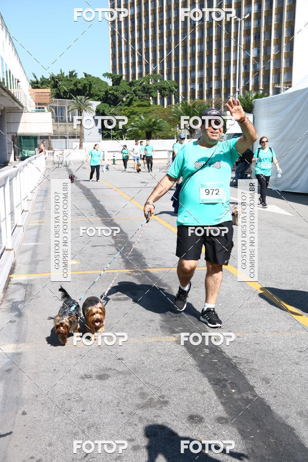 Buy your photos of the event2 Pet Run Shopping Eldorado  on Fotop