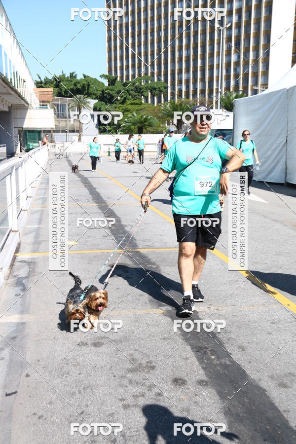 Buy your photos of the event2 Pet Run Shopping Eldorado  on Fotop