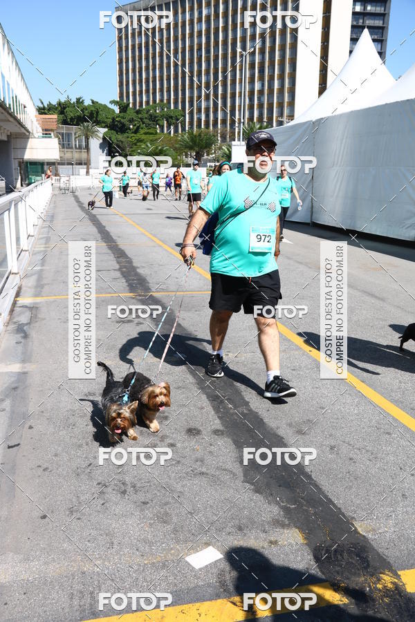 Buy your photos of the event2 Pet Run Shopping Eldorado  on Fotop