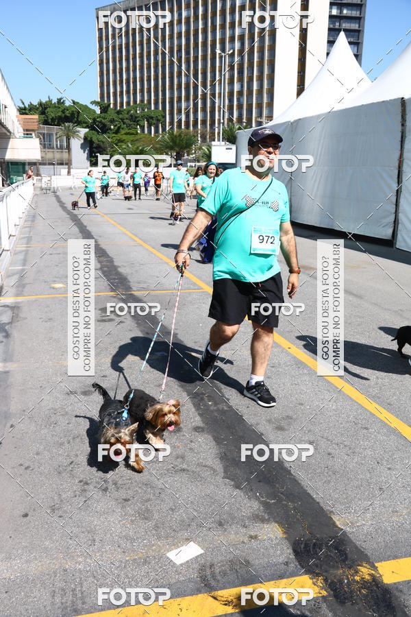 Buy your photos of the event2 Pet Run Shopping Eldorado  on Fotop