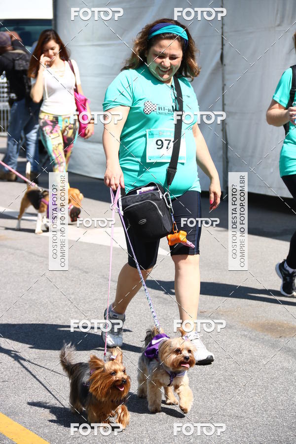 Buy your photos of the event2 Pet Run Shopping Eldorado  on Fotop