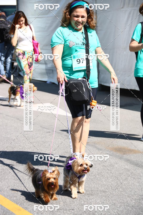 Buy your photos of the event2 Pet Run Shopping Eldorado  on Fotop
