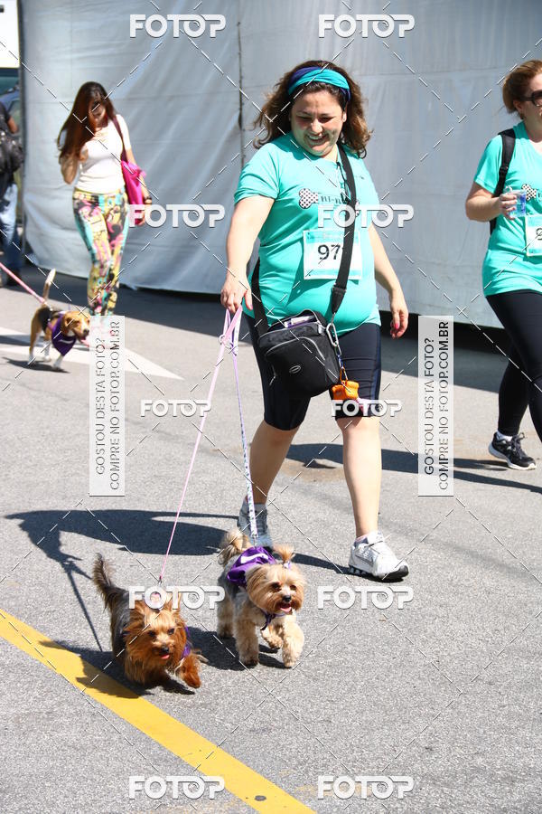 Buy your photos of the event2 Pet Run Shopping Eldorado  on Fotop