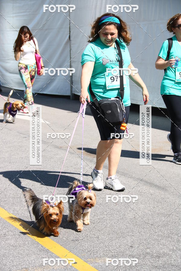 Buy your photos of the event2 Pet Run Shopping Eldorado  on Fotop