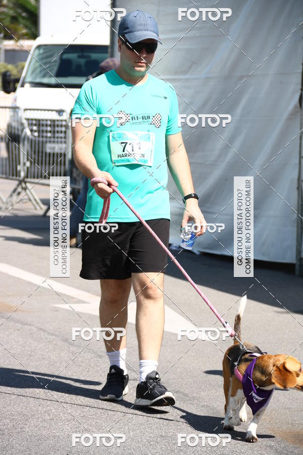 Buy your photos of the event2 Pet Run Shopping Eldorado  on Fotop