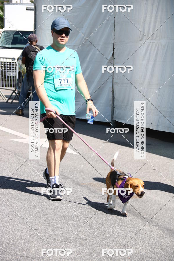Buy your photos of the event2 Pet Run Shopping Eldorado  on Fotop