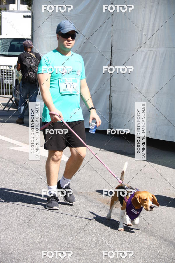Buy your photos of the event2 Pet Run Shopping Eldorado  on Fotop