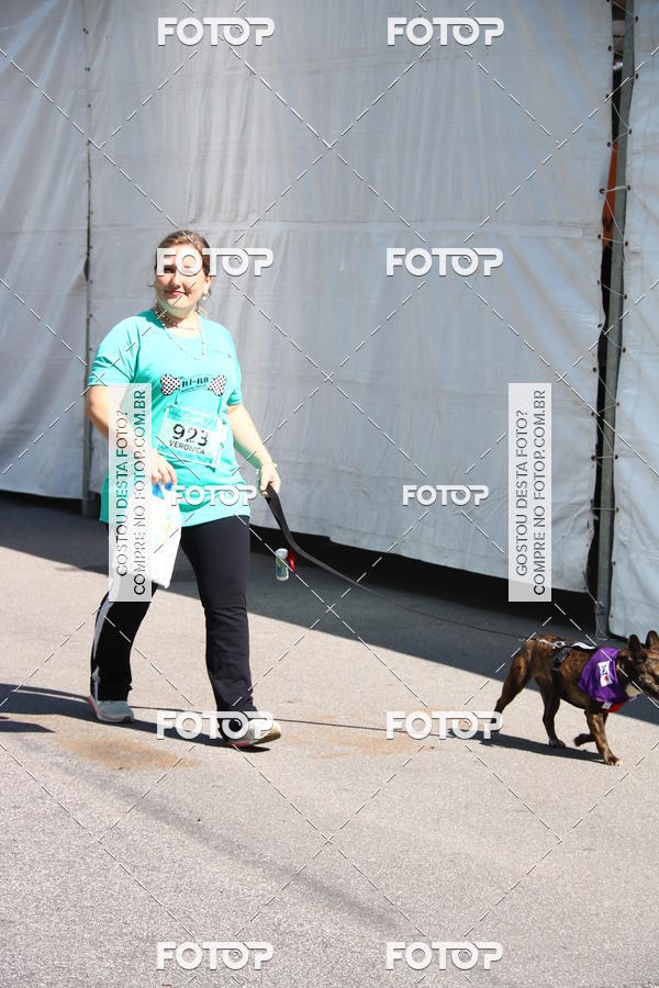 Buy your photos of the event2 Pet Run Shopping Eldorado  on Fotop