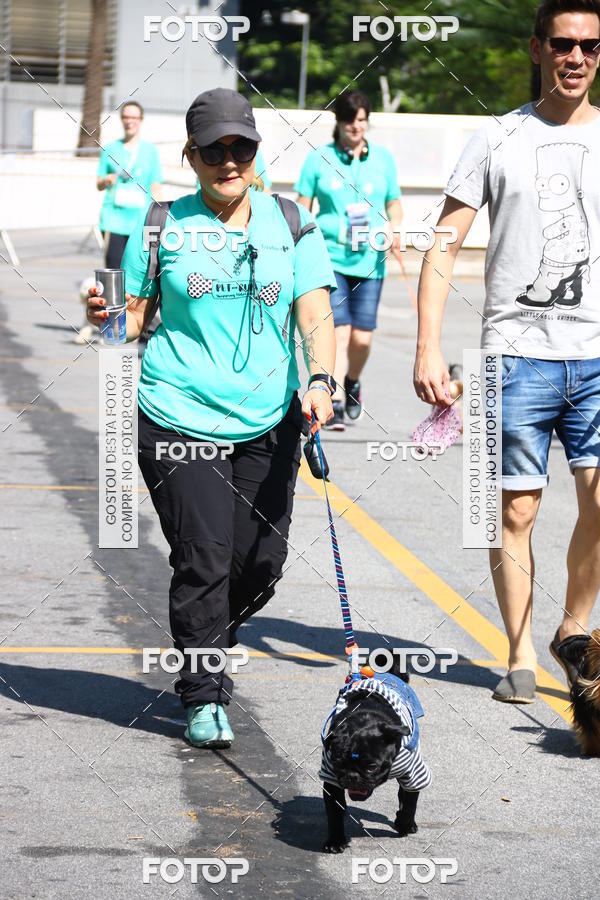 Buy your photos of the event2 Pet Run Shopping Eldorado  on Fotop