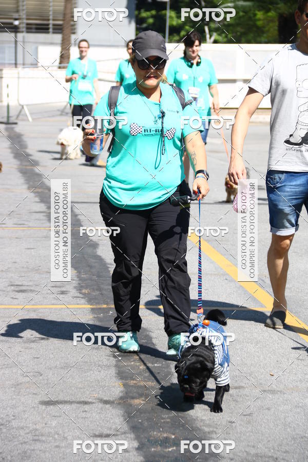 Buy your photos of the event2 Pet Run Shopping Eldorado  on Fotop