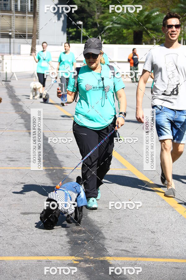 Buy your photos of the event2 Pet Run Shopping Eldorado  on Fotop