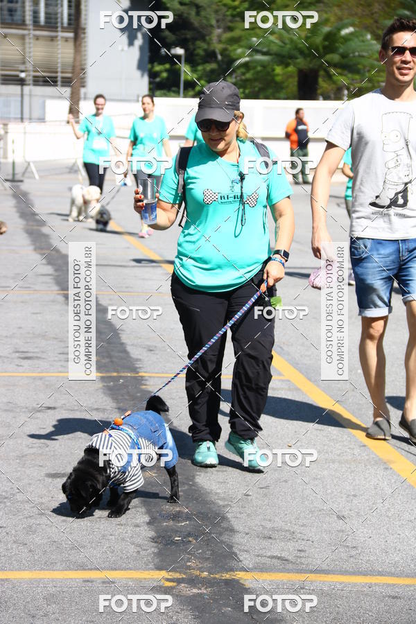 Buy your photos of the event2 Pet Run Shopping Eldorado  on Fotop
