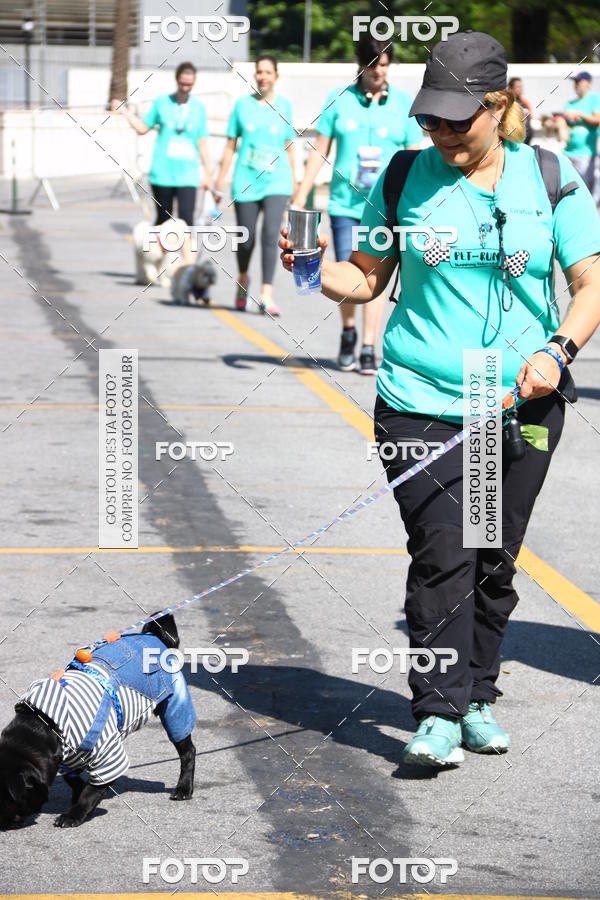 Buy your photos of the event2 Pet Run Shopping Eldorado  on Fotop