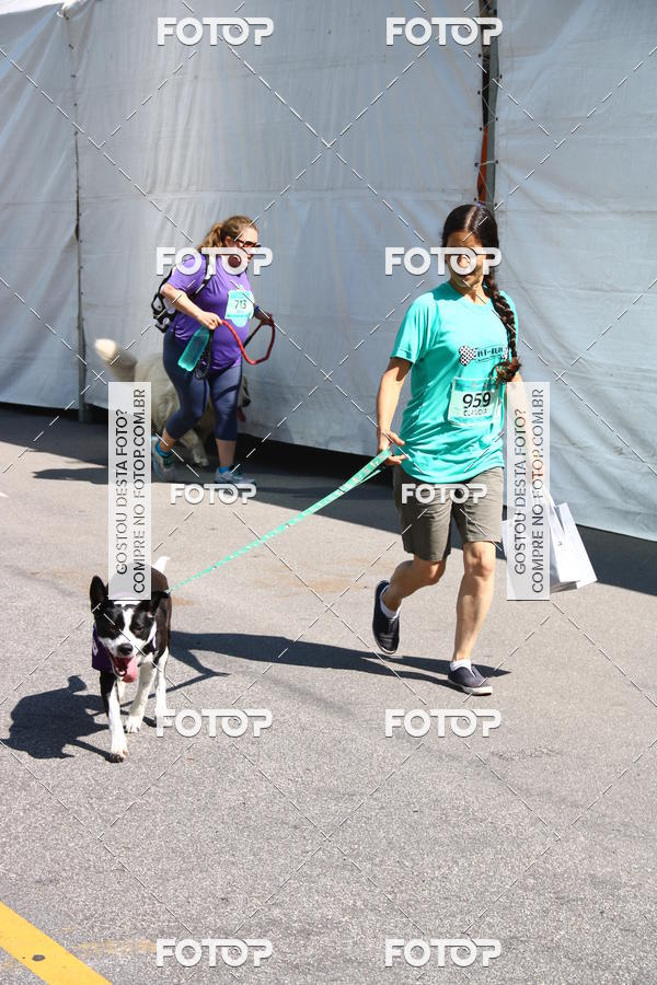 Buy your photos of the event2 Pet Run Shopping Eldorado  on Fotop