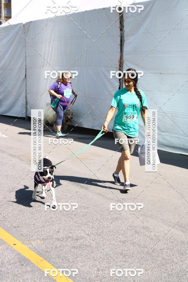 Buy your photos of the event2 Pet Run Shopping Eldorado  on Fotop