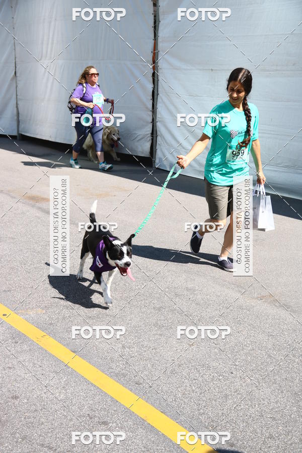 Buy your photos of the event2 Pet Run Shopping Eldorado  on Fotop
