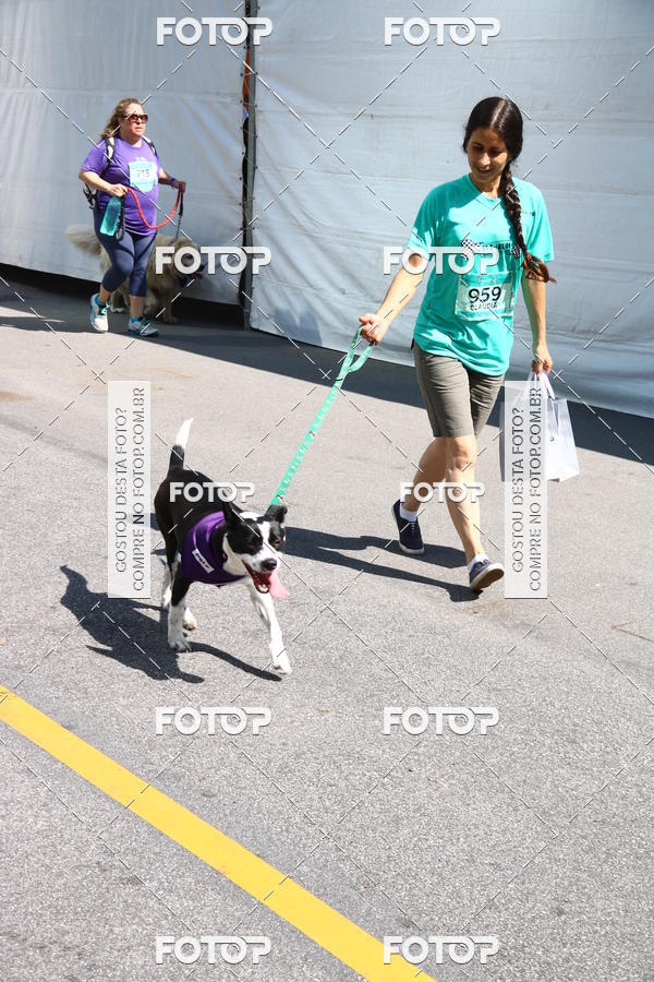 Buy your photos of the event2 Pet Run Shopping Eldorado  on Fotop