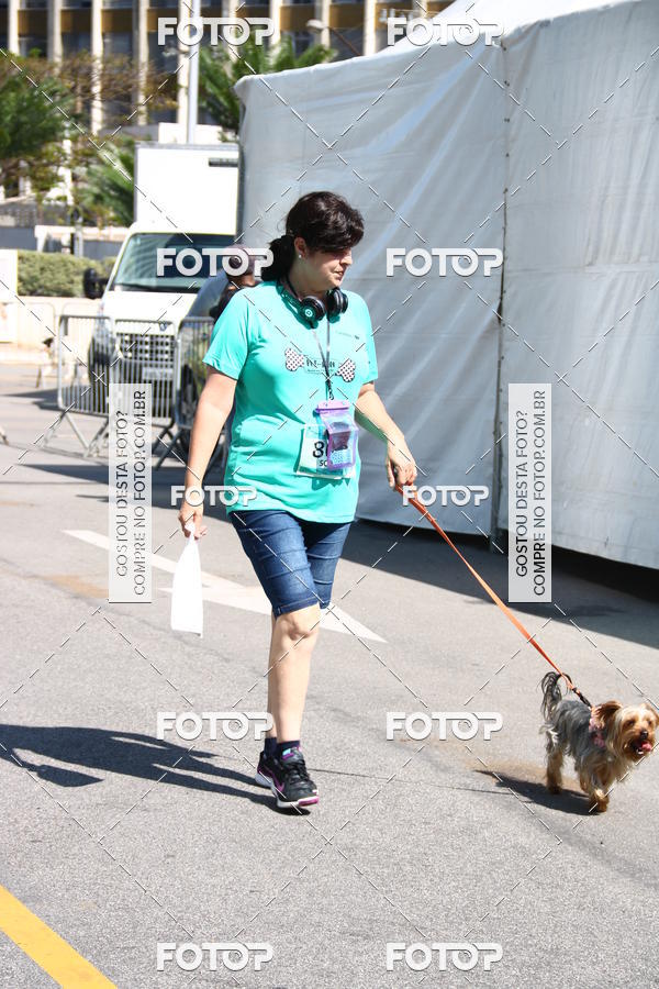 Buy your photos of the event2 Pet Run Shopping Eldorado  on Fotop