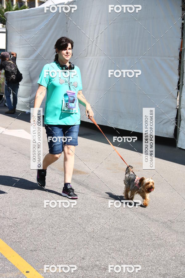 Buy your photos of the event2 Pet Run Shopping Eldorado  on Fotop