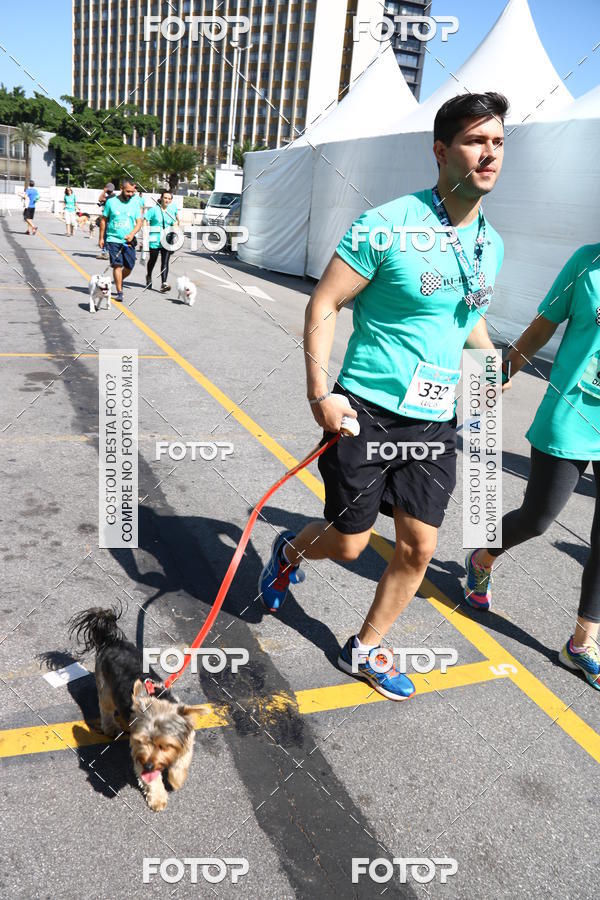 Buy your photos of the event2 Pet Run Shopping Eldorado  on Fotop