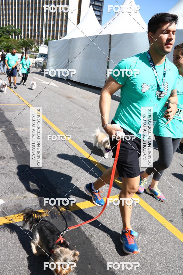 Buy your photos of the event2 Pet Run Shopping Eldorado  on Fotop