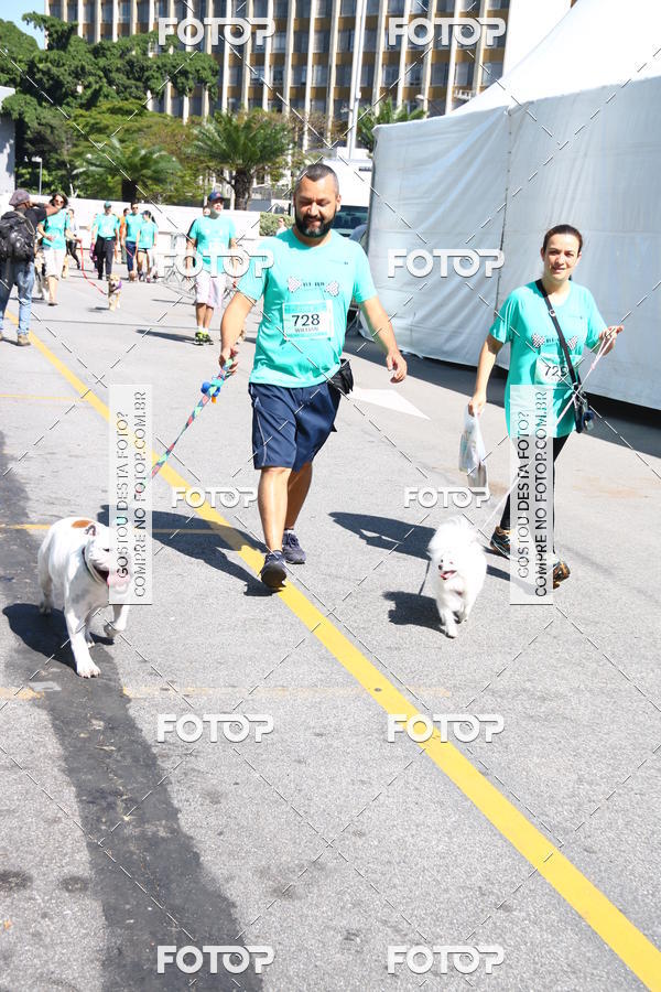 Buy your photos of the event2 Pet Run Shopping Eldorado  on Fotop