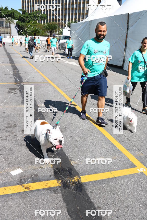 Buy your photos of the event2 Pet Run Shopping Eldorado  on Fotop