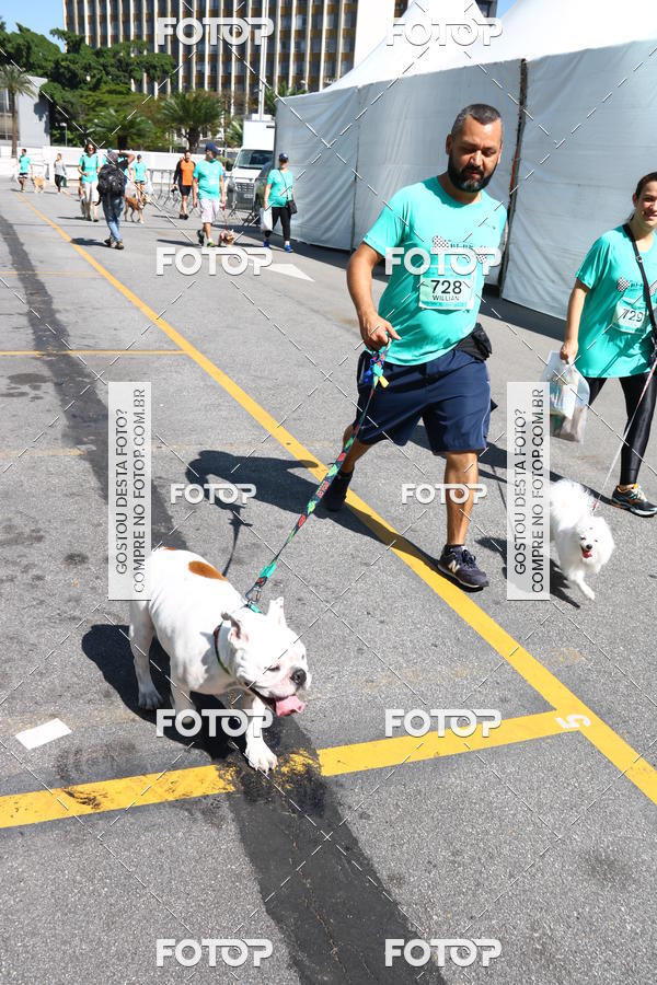 Buy your photos of the event2 Pet Run Shopping Eldorado  on Fotop