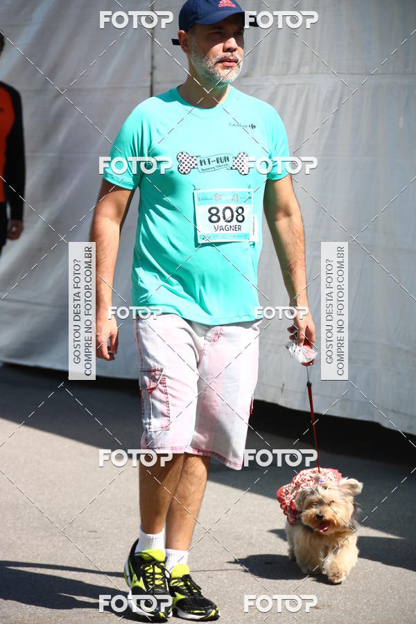 Buy your photos of the event2 Pet Run Shopping Eldorado  on Fotop