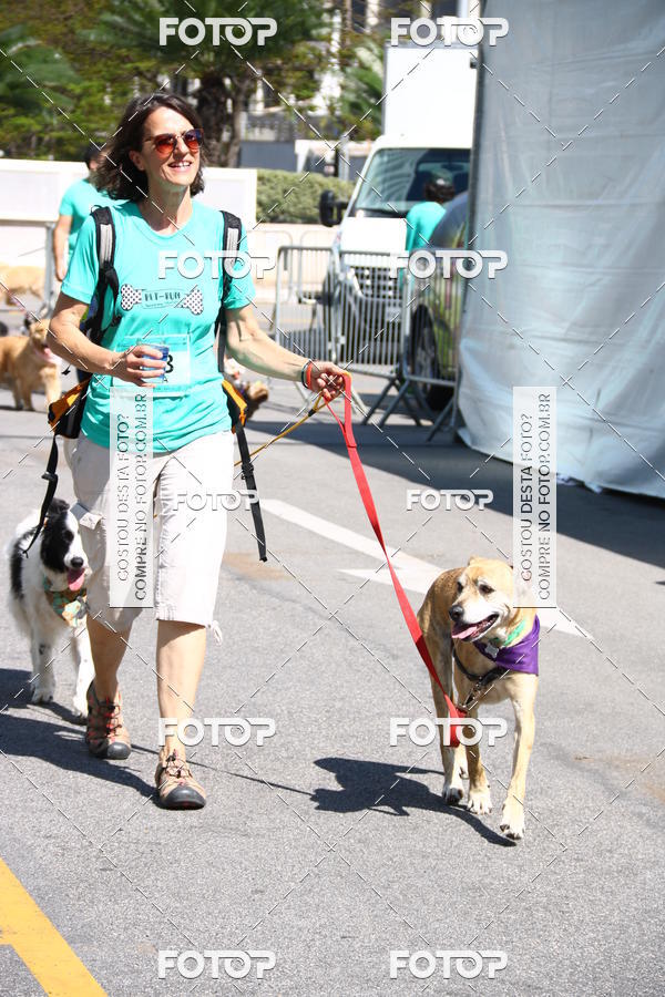 Buy your photos of the event2 Pet Run Shopping Eldorado  on Fotop