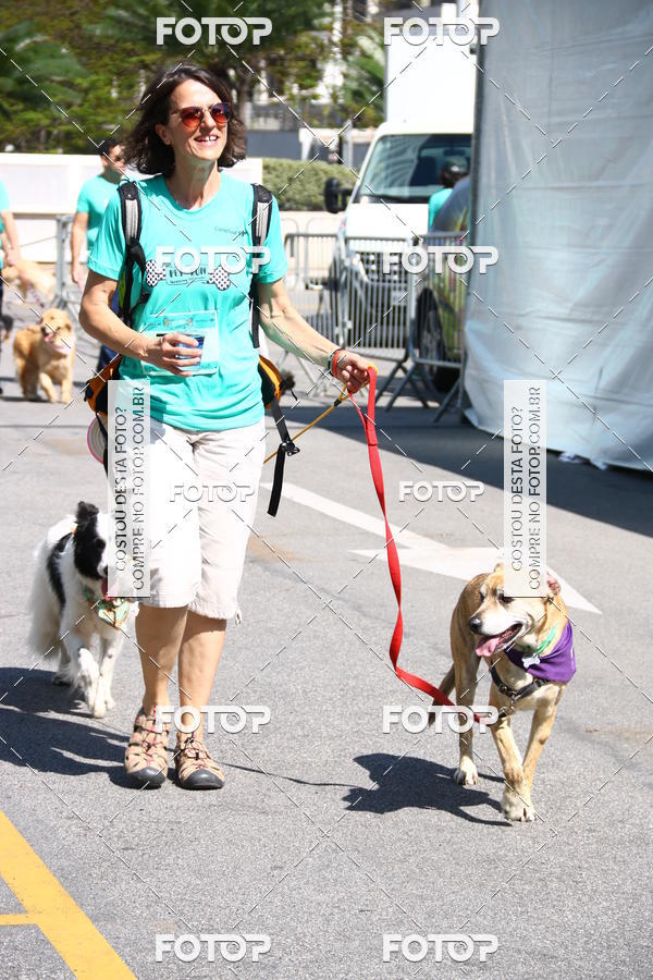 Buy your photos of the event2 Pet Run Shopping Eldorado  on Fotop