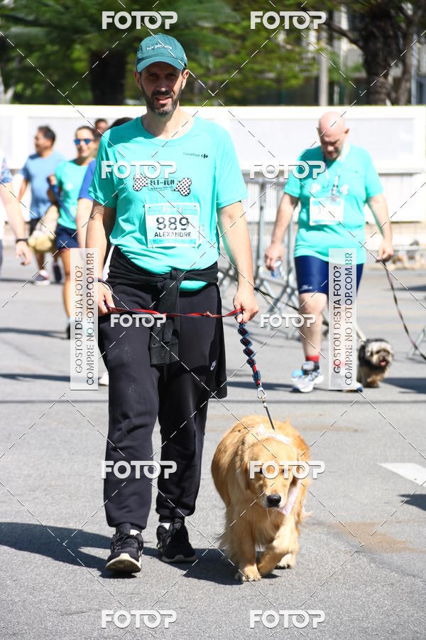 Buy your photos of the event2 Pet Run Shopping Eldorado  on Fotop