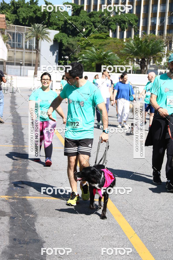 Buy your photos of the event2 Pet Run Shopping Eldorado  on Fotop