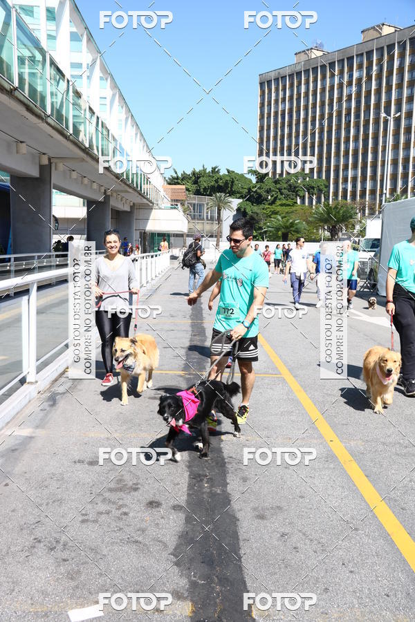 Buy your photos of the event2 Pet Run Shopping Eldorado  on Fotop