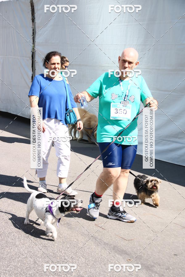 Buy your photos of the event2 Pet Run Shopping Eldorado  on Fotop