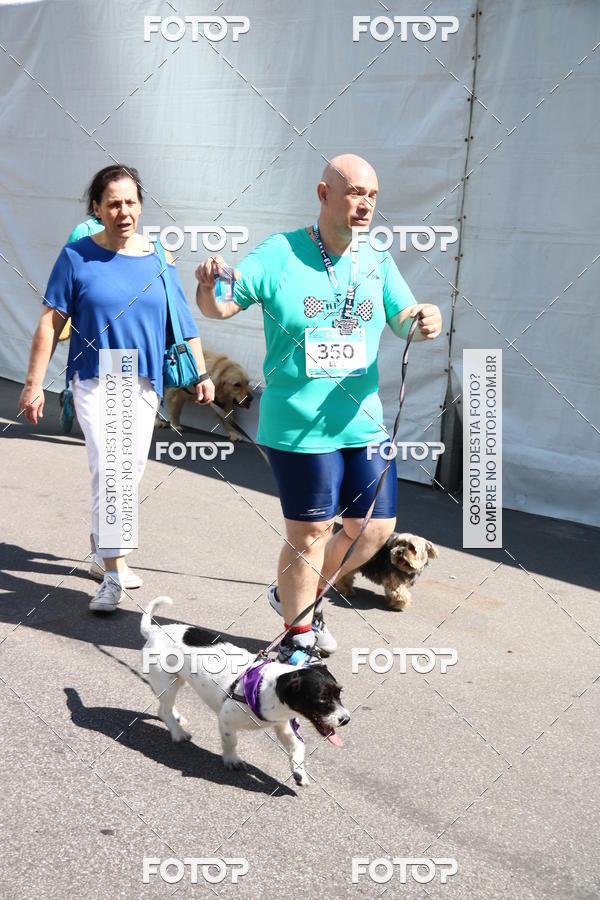 Buy your photos of the event2 Pet Run Shopping Eldorado  on Fotop