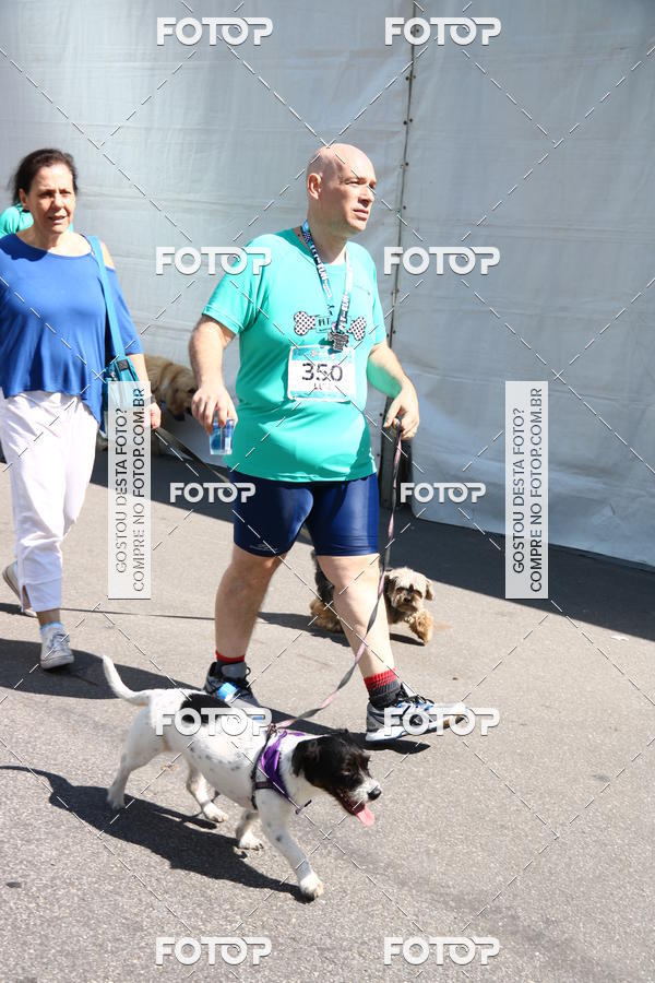 Buy your photos of the event2 Pet Run Shopping Eldorado  on Fotop