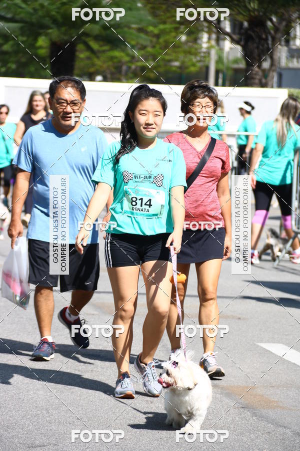 Buy your photos of the event2 Pet Run Shopping Eldorado  on Fotop
