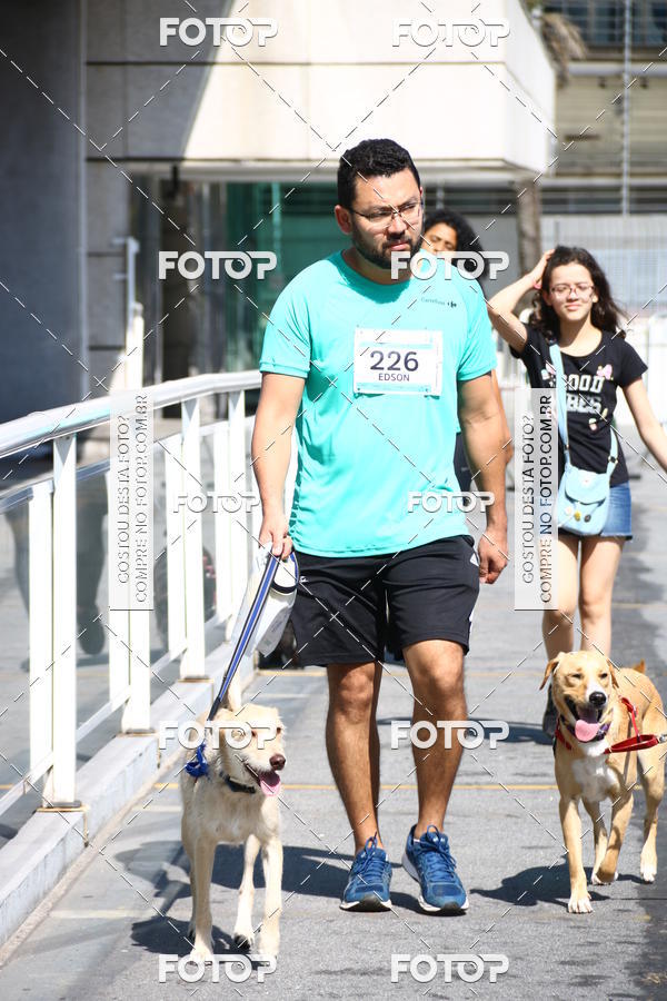 Buy your photos of the event2 Pet Run Shopping Eldorado  on Fotop
