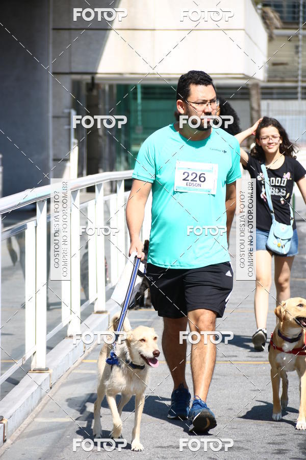 Buy your photos of the event2 Pet Run Shopping Eldorado  on Fotop