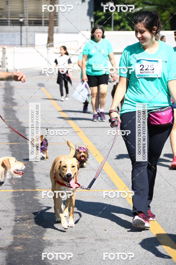 Buy your photos of the event2 Pet Run Shopping Eldorado  on Fotop