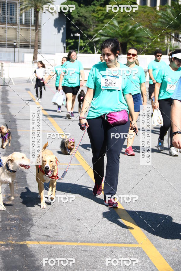 Buy your photos of the event2 Pet Run Shopping Eldorado  on Fotop