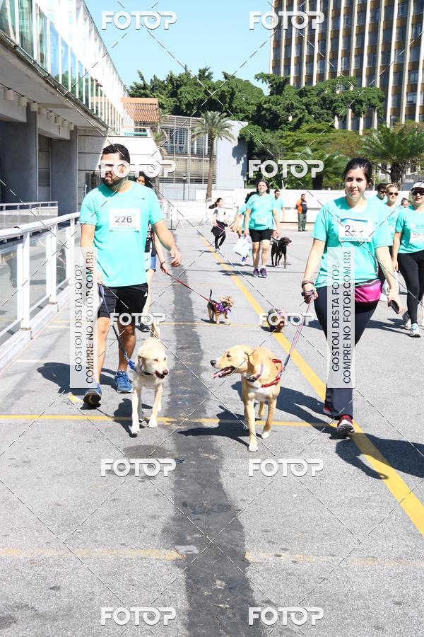 Buy your photos of the event2 Pet Run Shopping Eldorado  on Fotop