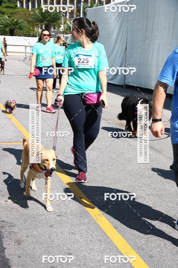 Buy your photos of the event2 Pet Run Shopping Eldorado  on Fotop