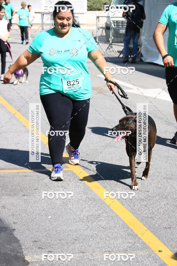 Buy your photos of the event2 Pet Run Shopping Eldorado  on Fotop