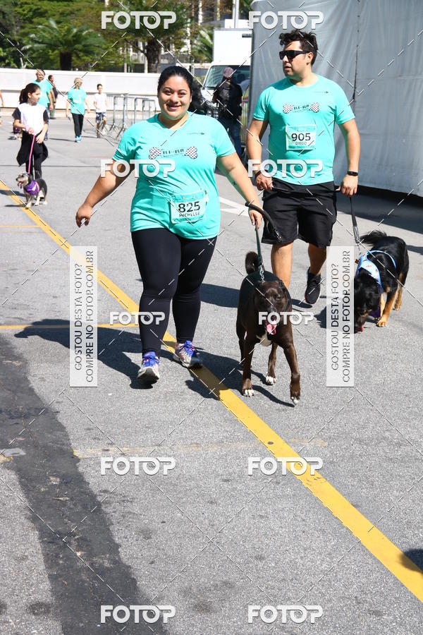 Buy your photos of the event2 Pet Run Shopping Eldorado  on Fotop