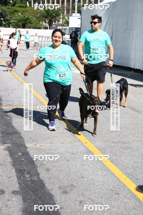 Buy your photos of the event2 Pet Run Shopping Eldorado  on Fotop