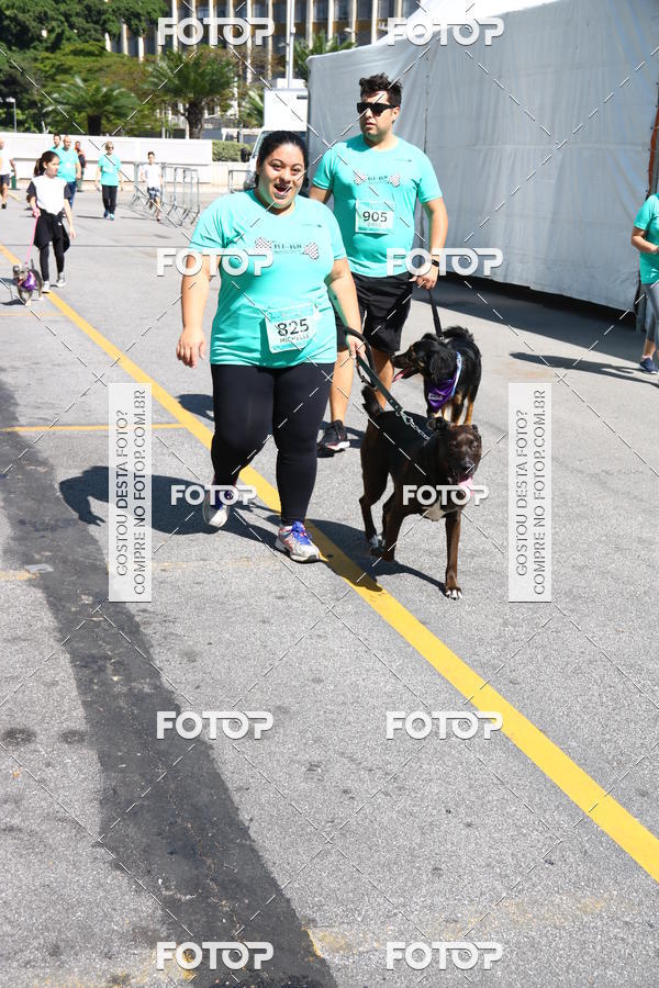 Buy your photos of the event2 Pet Run Shopping Eldorado  on Fotop