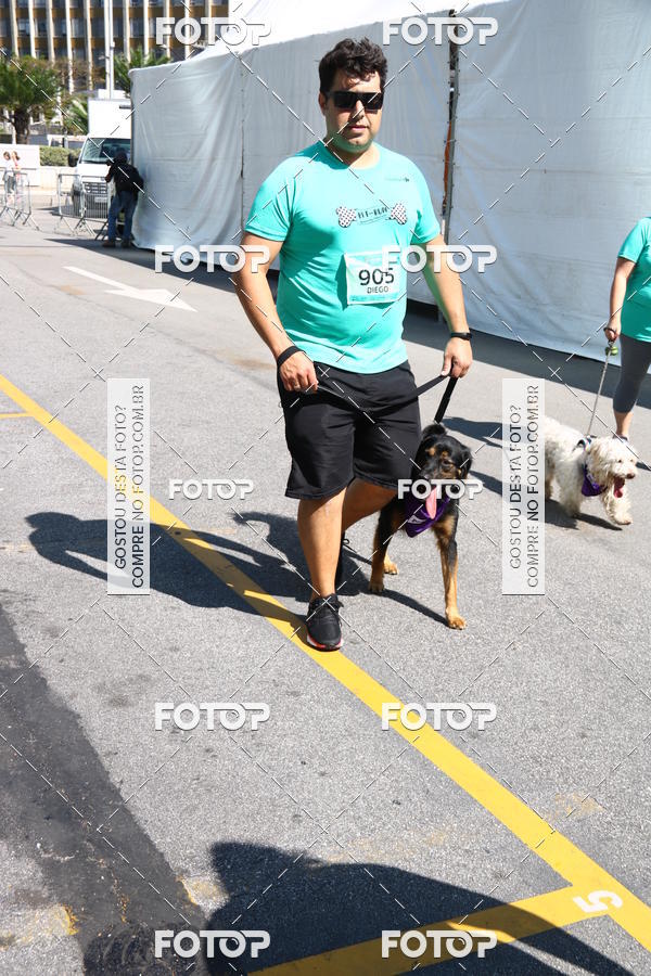 Buy your photos of the event2 Pet Run Shopping Eldorado  on Fotop